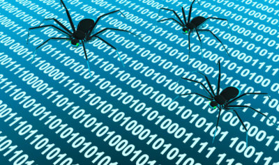 Software Bug