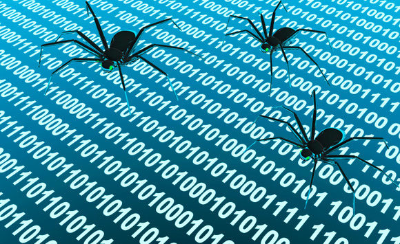 Software Bug